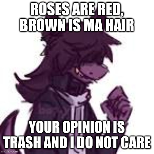 fursona | ROSES ARE RED, BROWN IS MA HAIR YOUR OPINION IS TRASH AND I DO NOT CARE | image tagged in fursona | made w/ Imgflip meme maker