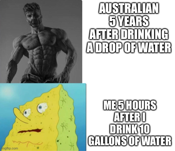 True? | AUSTRALIAN 5 YEARS AFTER DRINKING A DROP OF WATER; ME 5 HOURS AFTER I DRINK 10 GALLONS OF WATER | image tagged in water | made w/ Imgflip meme maker