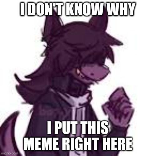 fursona | I DON'T KNOW WHY I PUT THIS MEME RIGHT HERE | image tagged in fursona | made w/ Imgflip meme maker