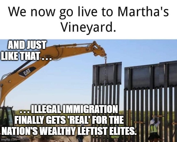 It's now getting 'real', isn't it leftists? | AND JUST LIKE THAT . . . . . . ILLEGAL IMMIGRATION FINALLY GETS 'REAL' FOR THE NATION'S WEALTHY LEFTIST ELITES. | image tagged in real | made w/ Imgflip meme maker