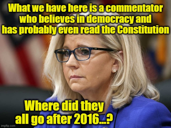 What we have here is a commentator who believes in democracy and has probably even read the Constitution Where did they all go after 2016... | image tagged in liz cheney | made w/ Imgflip meme maker