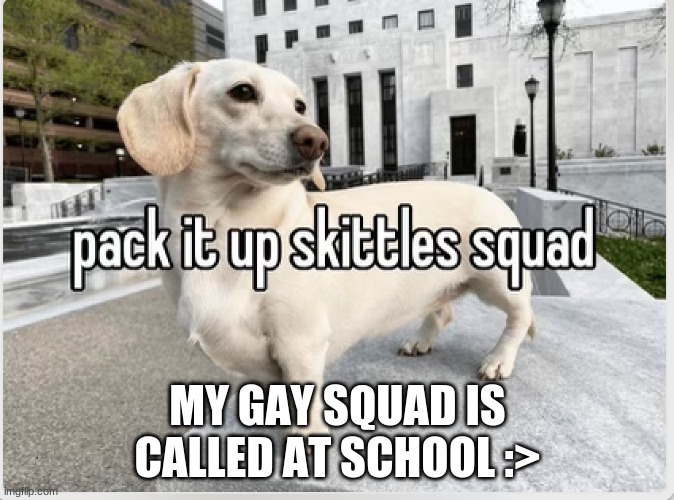 lamo | MY GAY SQUAD IS CALLED AT SCHOOL :> | image tagged in everything hurts | made w/ Imgflip meme maker