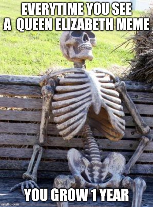 Sheesh we know ? | EVERYTIME YOU SEE A  QUEEN ELIZABETH MEME; YOU GROW 1 YEAR | image tagged in memes,waiting skeleton | made w/ Imgflip meme maker