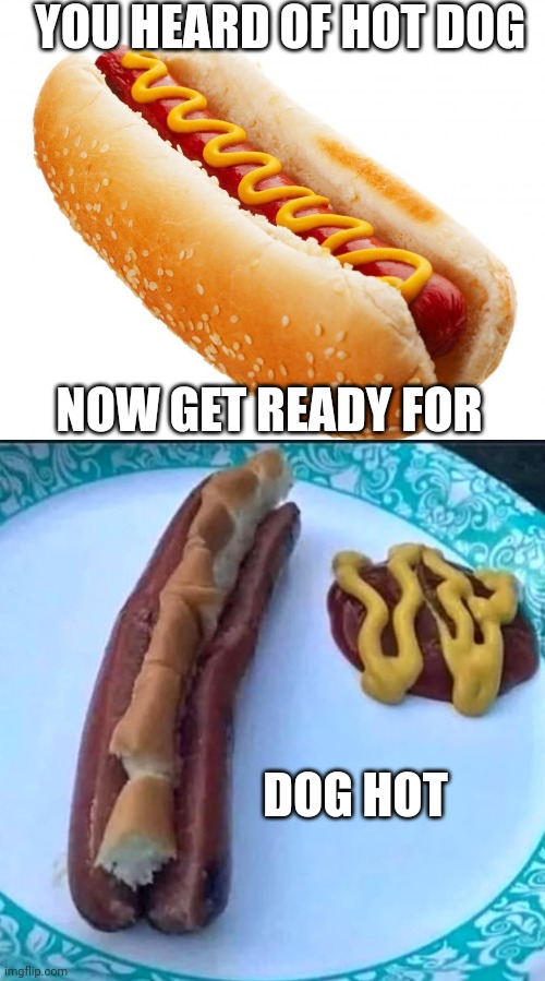 THE FUTURE IS HERE! |  YOU HEARD OF HOT DOG; NOW GET READY FOR; DOG HOT | image tagged in hotdog,stupid,fail,food | made w/ Imgflip meme maker