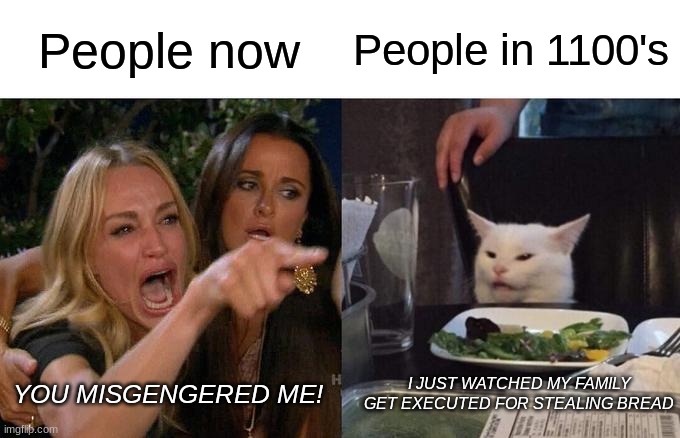 Why do people be so offended | People now; People in 1100's; YOU MISGENGERED ME! I JUST WATCHED MY FAMILY GET EXECUTED FOR STEALING BREAD | image tagged in memes,woman yelling at cat | made w/ Imgflip meme maker
