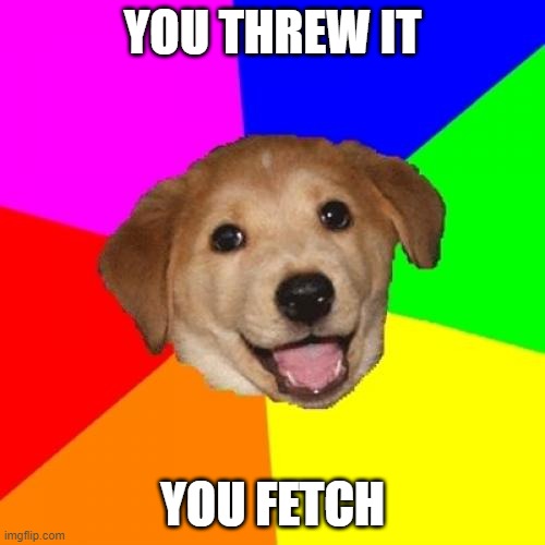 like every dog ever | YOU THREW IT; YOU FETCH | image tagged in memes | made w/ Imgflip meme maker