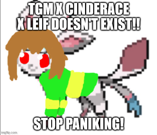 chara sylceon | TGM X CINDERACE X LEIF DOESN'T EXIST!! STOP PANIKING! | image tagged in chara sylceon | made w/ Imgflip meme maker