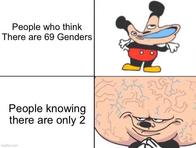 Try Sending this to Twitter | People who think There are 69 Genders; People knowing there are only 2 | image tagged in big brain mokey,memes,gender,big brain mickey,funny,dank memes | made w/ Imgflip meme maker
