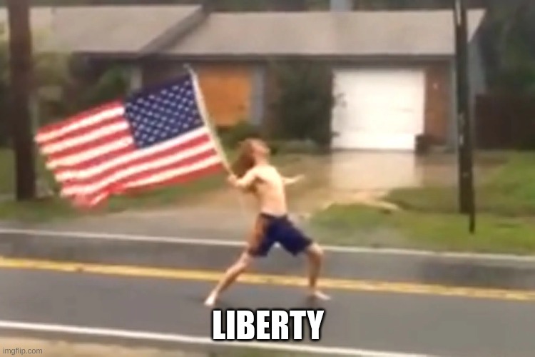 -AND JUSTICE FOR ALL! |  LIBERTY | image tagged in america,american dream,american flag | made w/ Imgflip meme maker