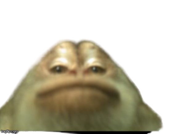 Monkey butt head selfie | image tagged in monkey butt head selfie | made w/ Imgflip meme maker