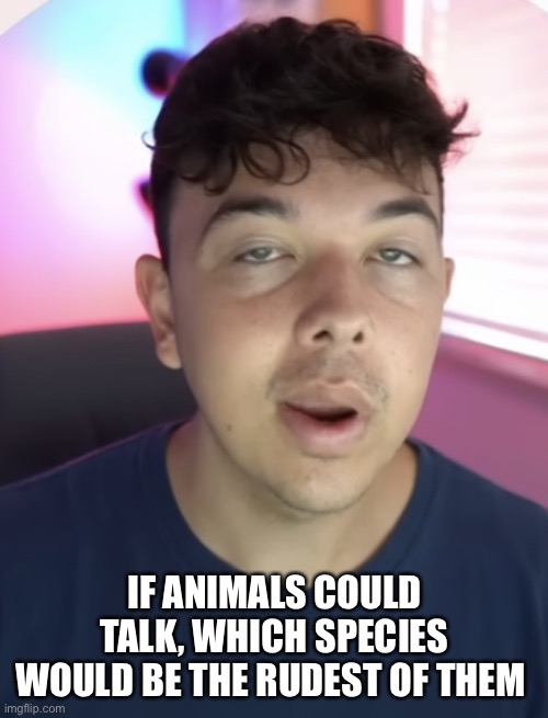 Chad the drunk | IF ANIMALS COULD TALK, WHICH SPECIES WOULD BE THE RUDEST OF THEM | image tagged in chad the drunk | made w/ Imgflip meme maker