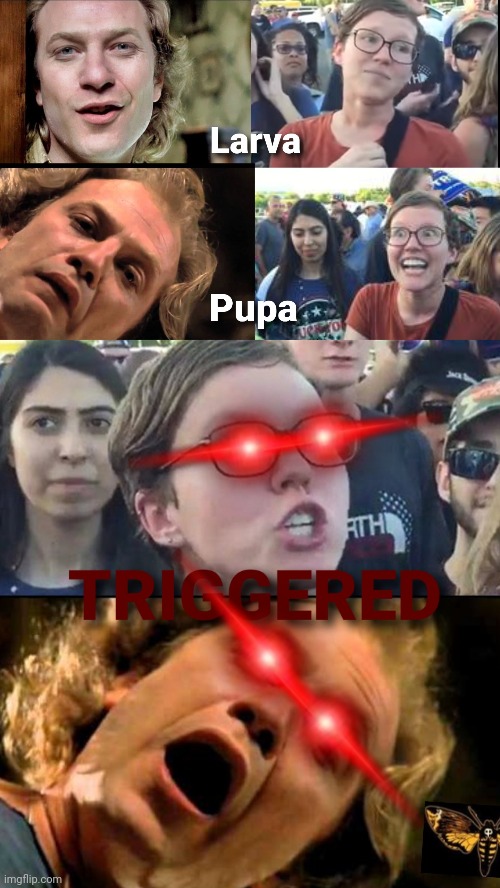 Metamorphosis, serial killer and liberal | image tagged in buffalo bill,triggered liberal | made w/ Imgflip meme maker