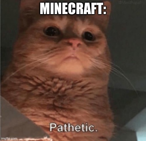 Pathetic Cat | MINECRAFT: | image tagged in pathetic cat | made w/ Imgflip meme maker