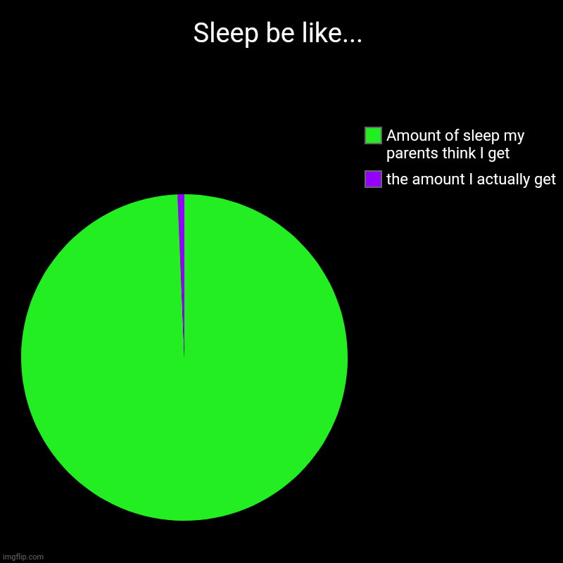 SlEeP!!!!???? | Sleep be like... | the amount I actually get, Amount of sleep my parents think I get | image tagged in charts,pie charts | made w/ Imgflip chart maker