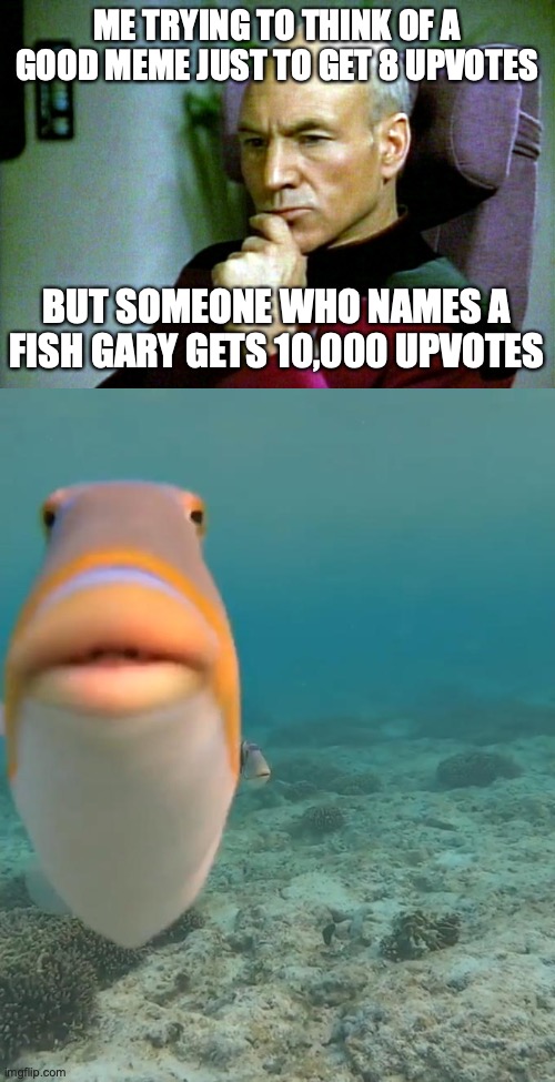 Help.. | ME TRYING TO THINK OF A GOOD MEME JUST TO GET 8 UPVOTES; BUT SOMEONE WHO NAMES A FISH GARY GETS 10,000 UPVOTES | image tagged in thinking hard,staring fish | made w/ Imgflip meme maker