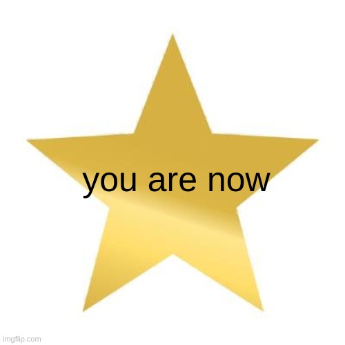 you tried star | you are now | image tagged in you tried star | made w/ Imgflip meme maker