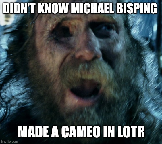 Michael Bisping in Lord of the Rings | DIDN'T KNOW MICHAEL BISPING; MADE A CAMEO IN LOTR | image tagged in ufc,lord of the rings | made w/ Imgflip meme maker