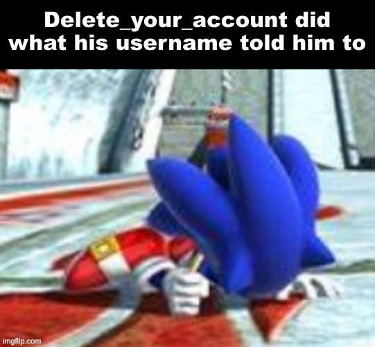 NOOOOOOO ANOTHER LEGEND LOST | Delete_your_account did what his username told him to | image tagged in sonic pounding the ground | made w/ Imgflip meme maker