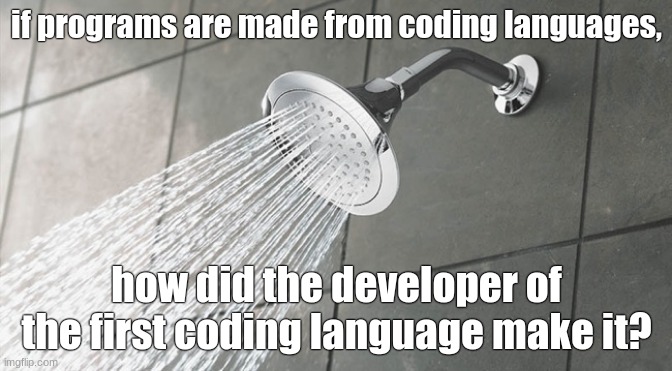 shower thoughts (programming joke) | if programs are made from coding languages, how did the developer of the first coding language make it? | image tagged in shower thoughts | made w/ Imgflip meme maker