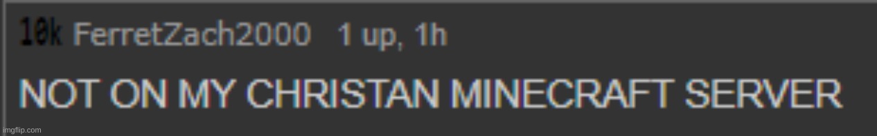 not on my christian minecraft server | image tagged in not on my christian minecraft server | made w/ Imgflip meme maker