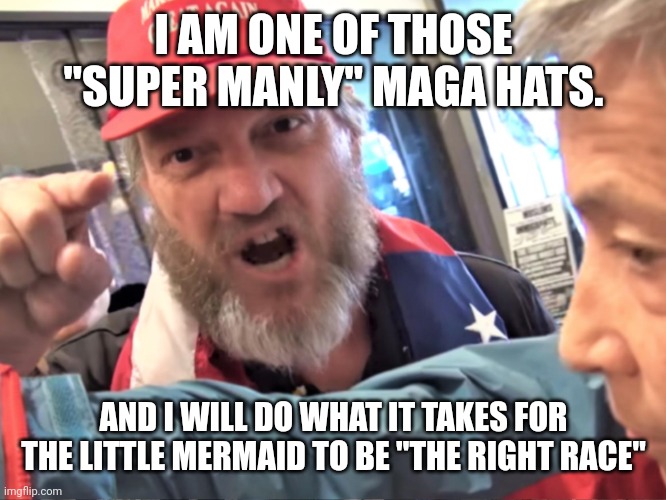 Little mermaid | I AM ONE OF THOSE "SUPER MANLY" MAGA HATS. AND I WILL DO WHAT IT TAKES FOR THE LITTLE MERMAID TO BE "THE RIGHT RACE" | image tagged in trump supporter,conservative,republican,the little mermaid,disney,democrat | made w/ Imgflip meme maker