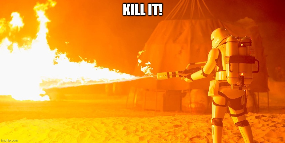Flametrooper | KILL IT! | image tagged in flametrooper | made w/ Imgflip meme maker