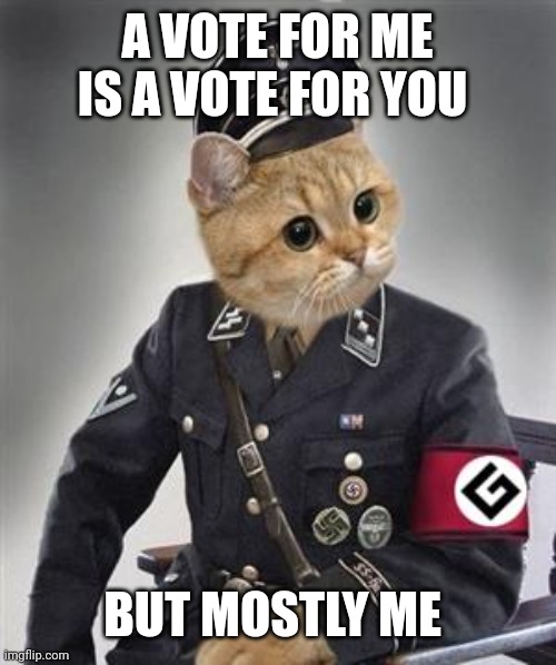 Grammar Nazi Cat | A VOTE FOR ME IS A VOTE FOR YOU; BUT MOSTLY ME | image tagged in grammar nazi cat | made w/ Imgflip meme maker