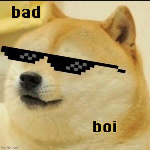 Because they just love bad boys (thanks to Barf) | bad; boi | image tagged in sunglass doge,bad,dogs | made w/ Imgflip meme maker