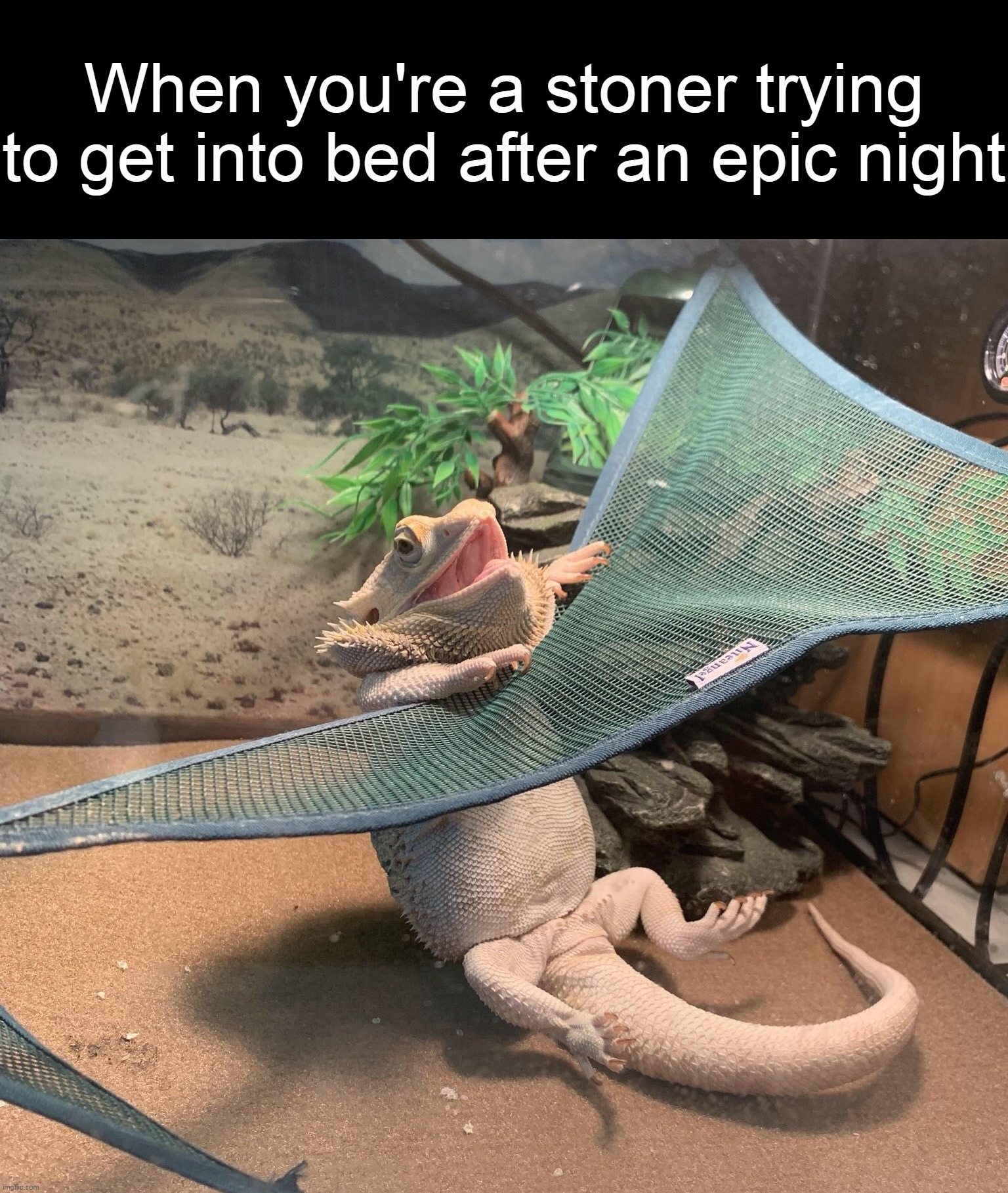 When you're a stoner trying to get into bed after an epic night | image tagged in meme,memes,humor | made w/ Imgflip meme maker