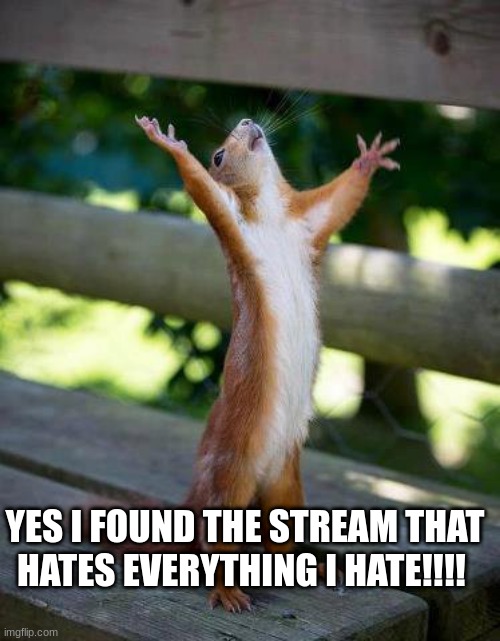 Praise Be | YES I FOUND THE STREAM THAT HATES EVERYTHING I HATE!!!! | image tagged in praise be | made w/ Imgflip meme maker