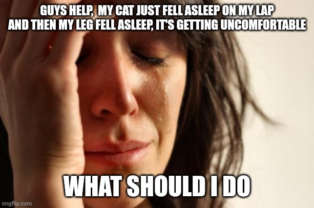 Help me | GUYS HELP,  MY CAT JUST FELL ASLEEP ON MY LAP AND THEN MY LEG FELL ASLEEP, IT'S GETTING UNCOMFORTABLE; WHAT SHOULD I DO | image tagged in memes,first world problems | made w/ Imgflip meme maker