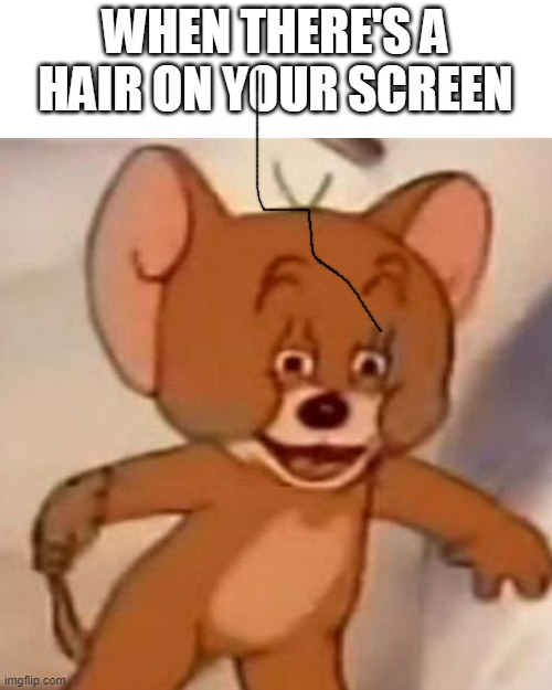 e | WHEN THERE'S A HAIR ON YOUR SCREEN | image tagged in polish jerry | made w/ Imgflip meme maker