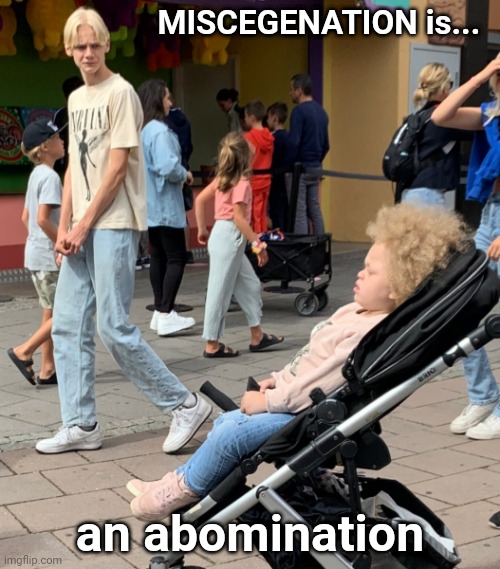 MISCEGENATION IS AN ABOMINATION | MISCEGENATION is... an abomination | image tagged in miscegenation is an abomination | made w/ Imgflip meme maker