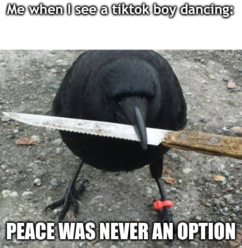 Like nobody cares about your 5 views | Me when I see a tiktok boy dancing:; PEACE WAS NEVER AN OPTION | image tagged in untitled goose peace was never an option | made w/ Imgflip meme maker