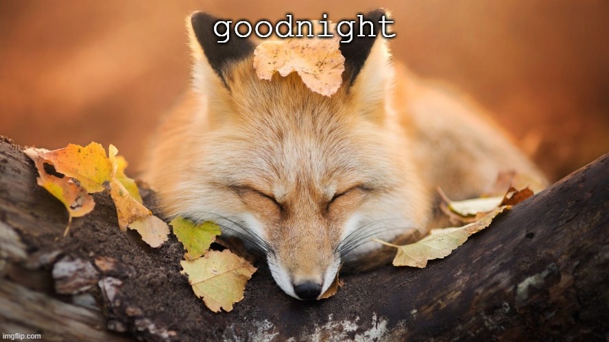 hey look new tekmp | goodnight | image tagged in goodnight | made w/ Imgflip meme maker