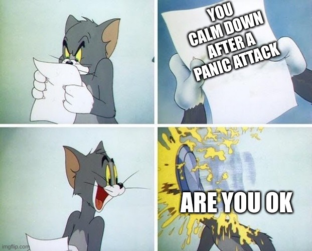 Tom and Jerry custard pie | YOU CALM DOWN AFTER A PANIC ATTACK; ARE YOU OK | image tagged in tom and jerry custard pie,middle school,relatable | made w/ Imgflip meme maker