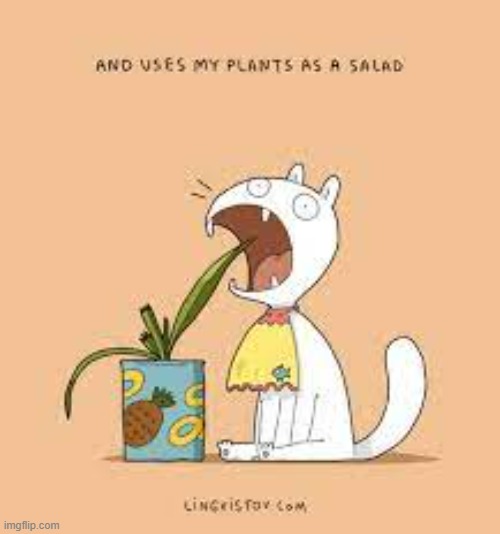 A Cat's Way Of Thinking | image tagged in memes,comics,cats,plants,are,salad | made w/ Imgflip meme maker