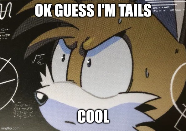 Calculating Tails | OK GUESS I'M TAILS; COOL | image tagged in calculating tails | made w/ Imgflip meme maker