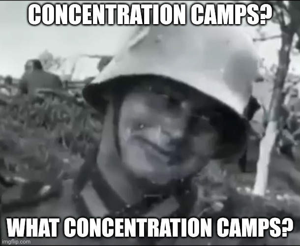 Good night chat | CONCENTRATION CAMPS? WHAT CONCENTRATION CAMPS? | image tagged in hanz the german soldier | made w/ Imgflip meme maker
