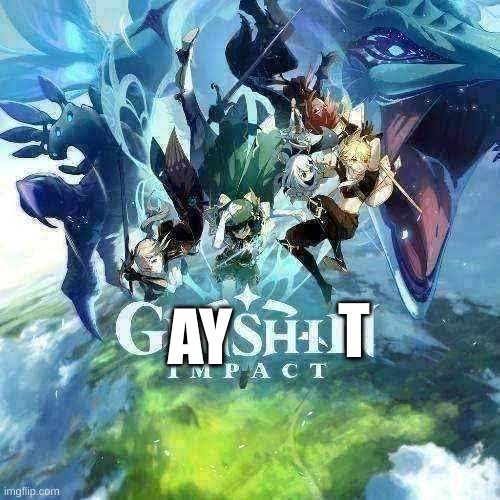 ge(ay)nshi(t)n impact | T; AY | image tagged in genshin impact,gay,incel,video games,weebs,anime | made w/ Imgflip meme maker