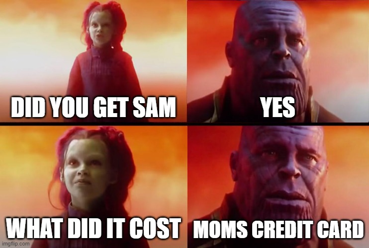 thanos what did it cost | DID YOU GET SAM; YES; WHAT DID IT COST; MOMS CREDIT CARD | image tagged in thanos what did it cost | made w/ Imgflip meme maker