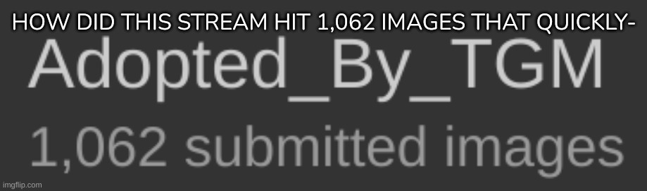 W h o a - | HOW DID THIS STREAM HIT 1,062 IMAGES THAT QUICKLY- | image tagged in idk,stuff,s o u p,carck | made w/ Imgflip meme maker