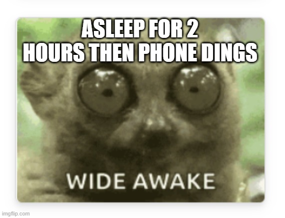 TWEET ME UP ANYTIME | ASLEEP FOR 2 HOURS THEN PHONE DINGS | image tagged in twitter,tweet,notifications,alert,cell phones | made w/ Imgflip meme maker