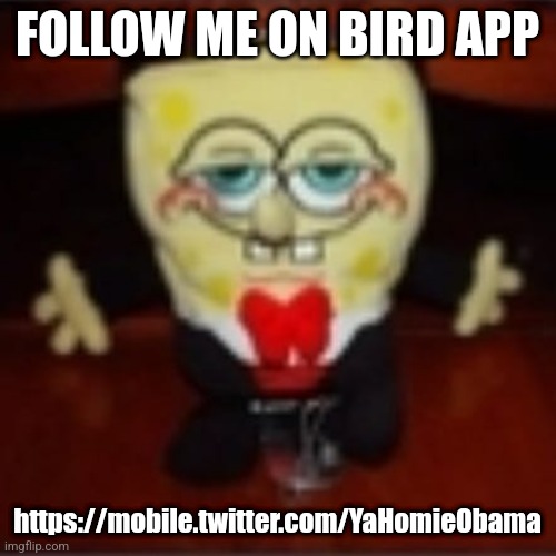 idk.jpg | FOLLOW ME ON BIRD APP; https://mobile.twitter.com/YaHomieObama | image tagged in idk jpg | made w/ Imgflip meme maker