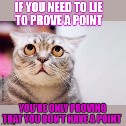 This #lolcat wonders why people lie to prove a point | IF YOU NEED TO LIE 
TO PROVE A POINT; YOU'RE ONLY PROVING THAT YOU DON'T HAVE A POINT | image tagged in lolcat,lies,discussion,liars,your argument is invalid | made w/ Imgflip meme maker