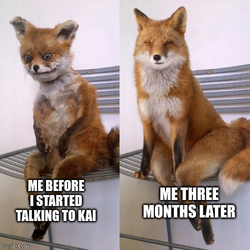 KAI Memes | the only glow up I need | image tagged in kaiaimeme,kaimeme,kaimemes,kaiai,kaiwellnessmemes,discord | made w/ Imgflip meme maker