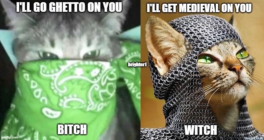 It's not The Crips and The Bloods |  I'LL GET MEDIEVAL ON YOU; I'LL GO GHETTO ON YOU; brighter1; BITCH; WITCH | image tagged in gangsta,medieval memes,cats | made w/ Imgflip meme maker