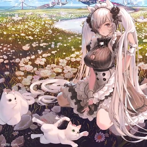 maid but with a cat | image tagged in anime | made w/ Imgflip meme maker
