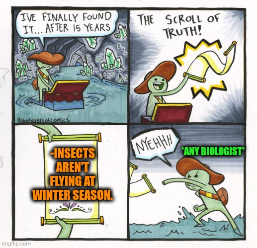 -Snow flies only. | -INSECTS AREN'T FLYING AT WINTER SEASON. *ANY BIOLOGIST* | image tagged in memes,the scroll of truth,insects,flying monkeys,winter is coming,biology | made w/ Imgflip meme maker