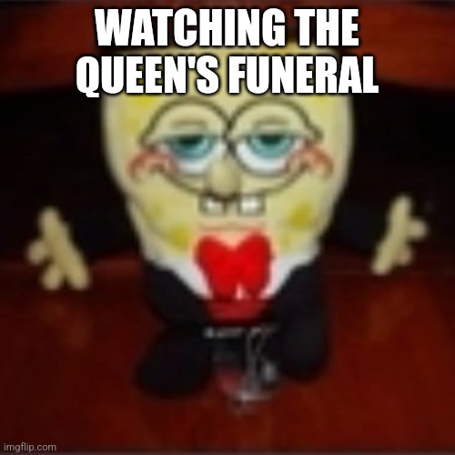 idk.jpg | WATCHING THE QUEEN'S FUNERAL | image tagged in idk jpg | made w/ Imgflip meme maker